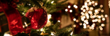 close-up-of-Christmas-tree
