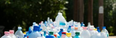 plastic bottles on a lawn