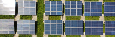 Solar panels arranged on grass