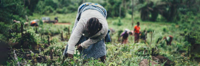 Women farmer planting crops