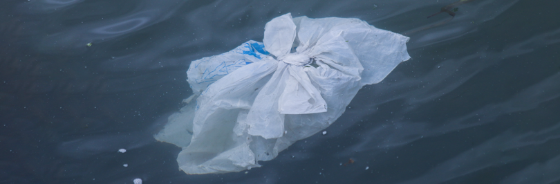 Single-use plastic bag floating in water