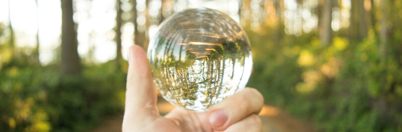 hand holding a crystal ball
