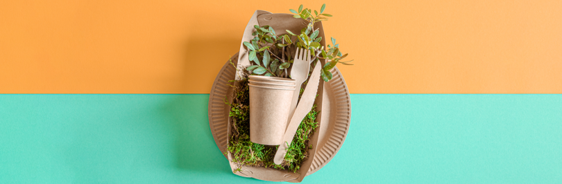Compostable container and tableware on yellow and teal background