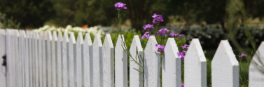 white fence