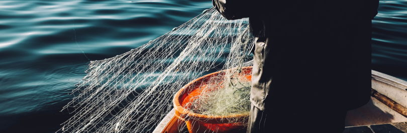 person with fishing net