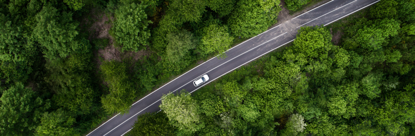 Car on winding road surrounded by trees