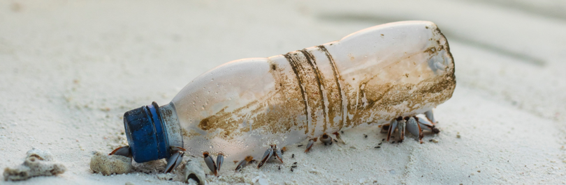 discarded plastic bottle on beach