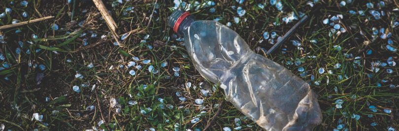 discarded plastic bottle