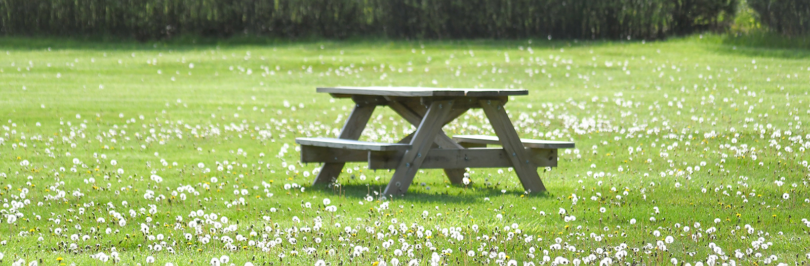 picnic bench in field