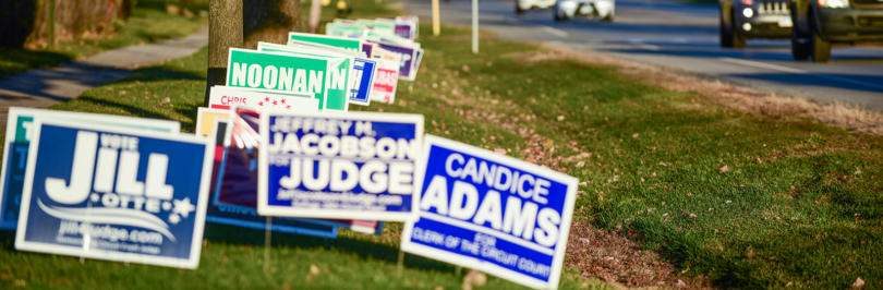 A row of campaign signs on side of the road