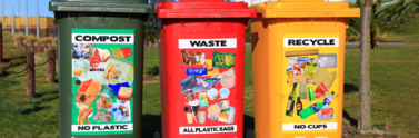 compost, waste and recycle bins