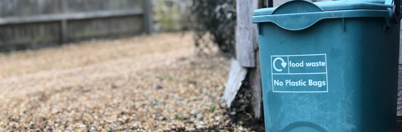 green bin for compost