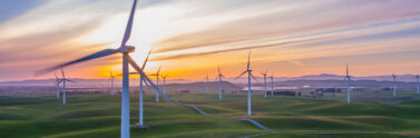 windfarm at sunset
